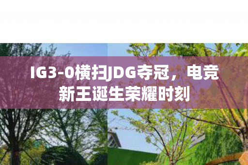 电竞新王诞生荣耀时刻图片