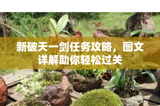 图文详解助你轻松过关图片