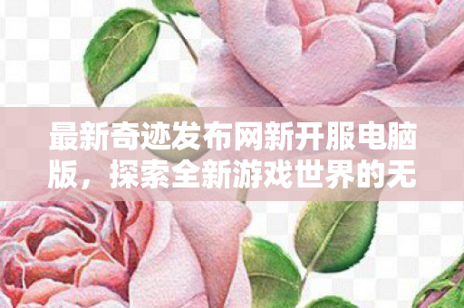 最新奇迹发布网新开服电脑版图片