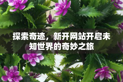 新开网站开启未知世界的奇妙之旅图片