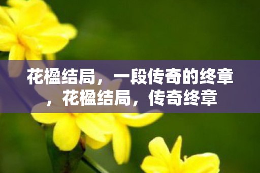 一段传奇的终章图片