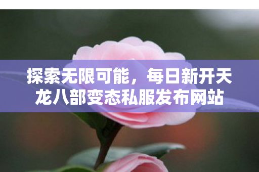 每日新开天龙八部变态私服发布网站图片