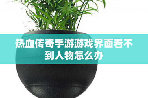 热血传奇手游游戏界面看不到人物怎么办图片