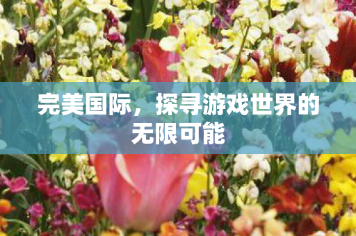 探寻游戏世界的无限可能图片
