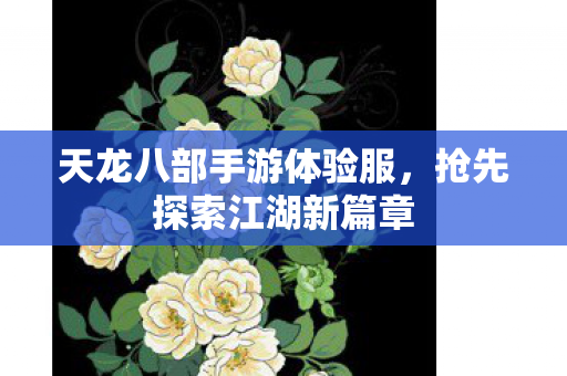 天龙八部手游体验服图片