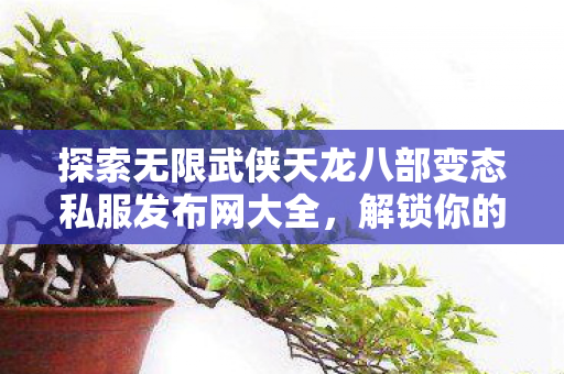 探索无限武侠天龙八部变态私服发布网大全图片