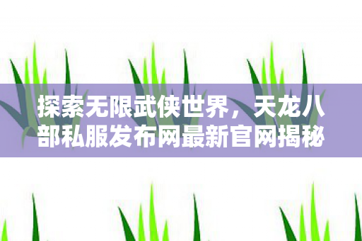 天龙八部私服发布网最新官网揭秘图片