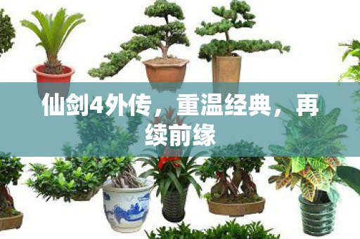 仙剑4外传图片