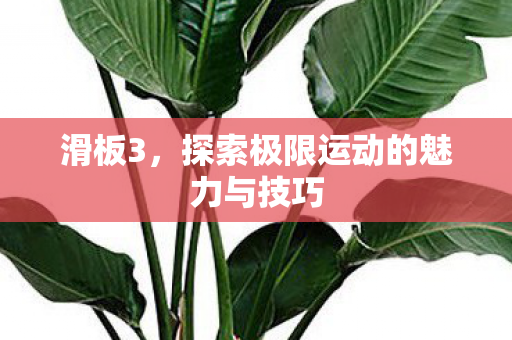 探索极限运动的魅力与技巧图片
