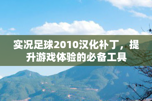 实况足球2010汉化补丁图片