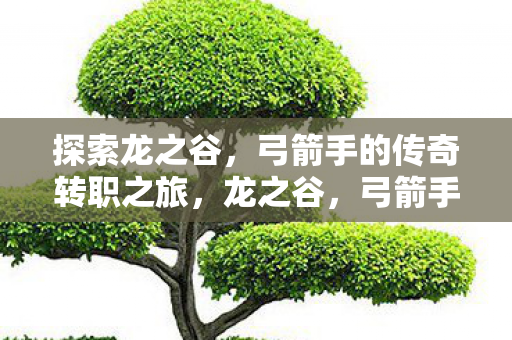 探索龙之谷,弓箭手的传奇转职之旅,龙之谷,弓箭手传奇转职之旅 探索龙之谷,弓箭手的传奇转职之旅,龙之谷,弓箭手传奇转职之旅