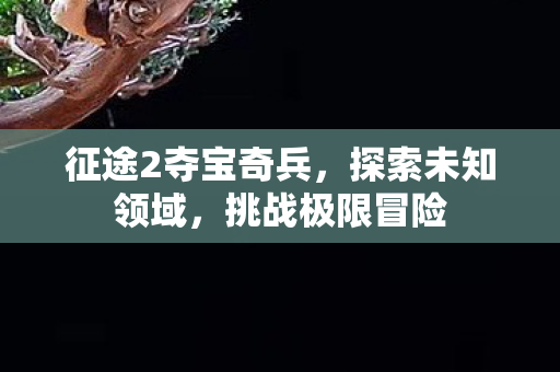 征途2夺宝奇兵图片