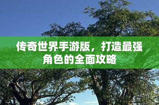 打造最强角色的全面攻略图片
