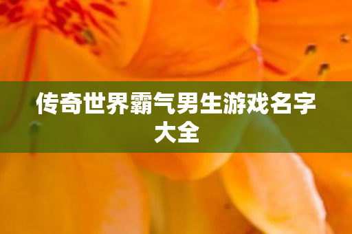 传奇世界霸气男生游戏名字大全图片