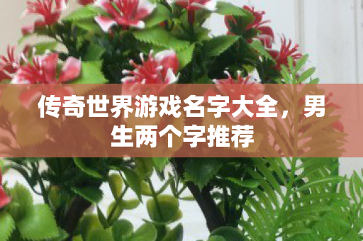 传奇世界游戏名字大全图片