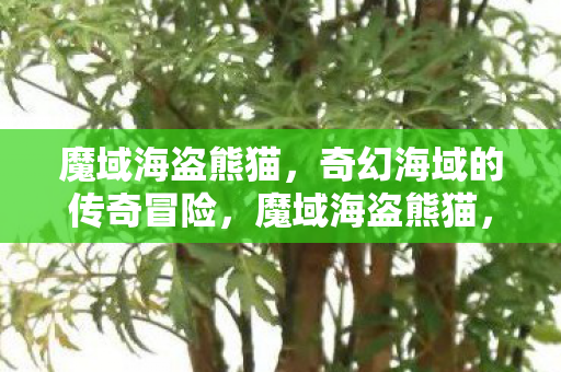 奇幻海域的传奇冒险之旅图片