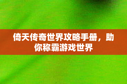 倚天传奇世界攻略手册图片
