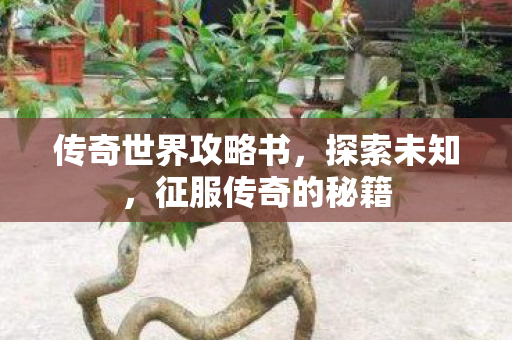 传奇世界攻略书图片