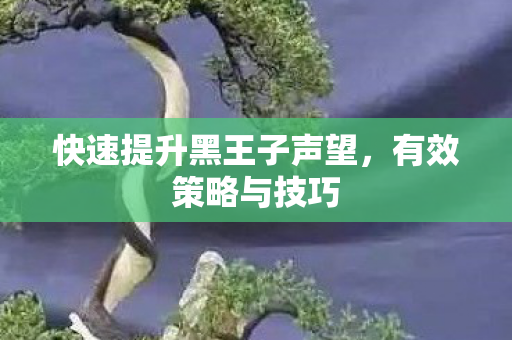 快速提升黑王子声望图片