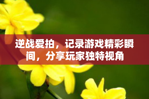 记录游戏精彩瞬间图片