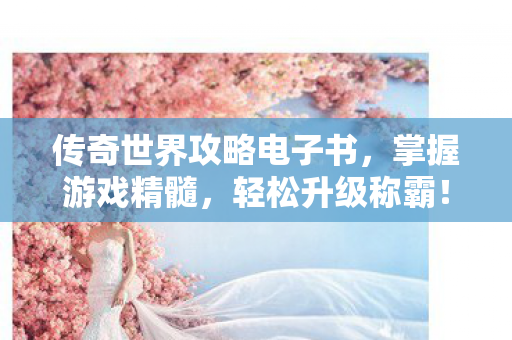 传奇世界攻略电子书图片