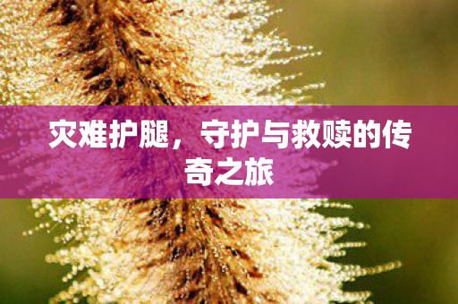 守护与救赎的传奇之旅图片