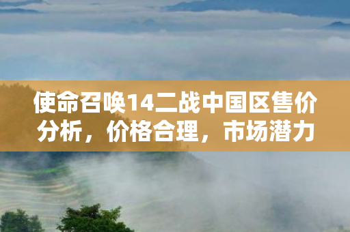 使命召唤14二战中国区售价分析图片