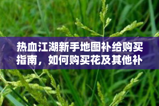 热血江湖新手地图补给购买指南图片