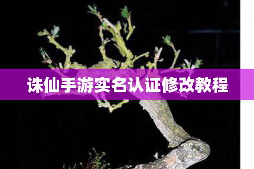 诛仙手游实名认证修改教程图片