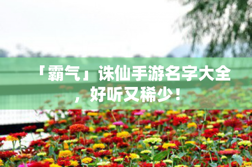 诛仙手游名字大全图片