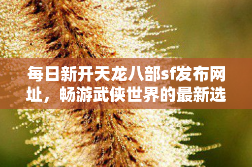 每日新开天龙八部sf发布网址图片