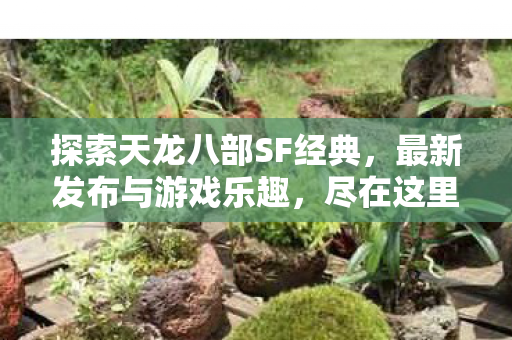 探索天龙八部SF经典图片