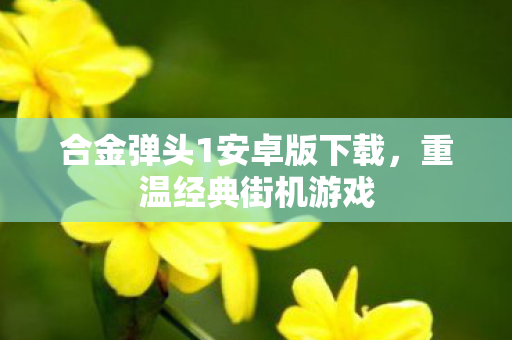 合金弹头1安卓版下载图片