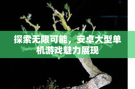 安卓大型单机游戏魅力展现图片