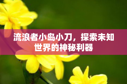 探索未知世界的神秘利器图片