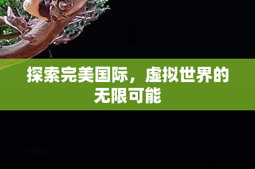 虚拟世界的无限可能图片