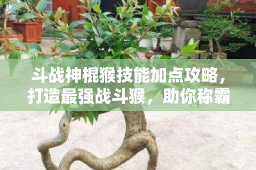 斗战神棍猴技能加点攻略图片