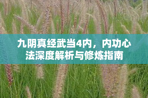 九阴真经武当4内，内功心法深度解析与修炼指南