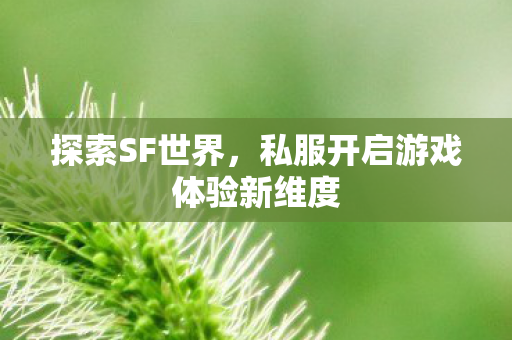 私服开启游戏体验新维度图片