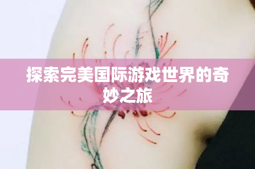 探索完美国际游戏世界的奇妙之旅图片