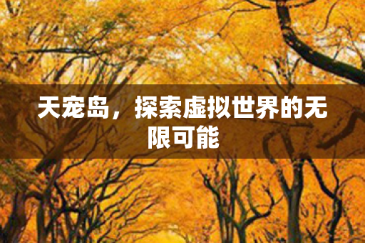 探索虚拟世界的无限可能图片