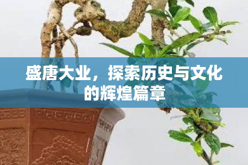 探索历史与文化的辉煌篇章图片