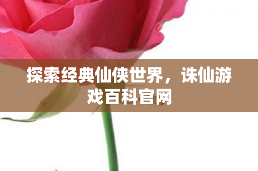 探索经典仙侠世界图片