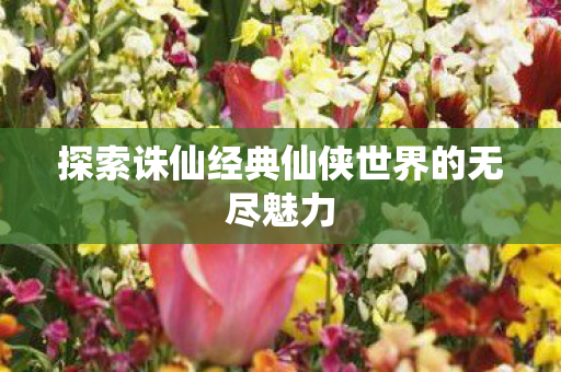 探索诛仙经典仙侠世界的无尽魅力图片