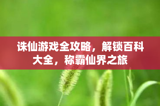 诛仙游戏全攻略图片