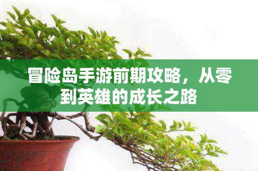 从零到英雄的成长之路图片