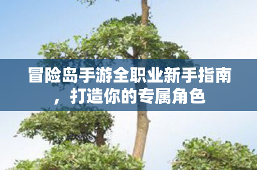 冒险岛手游全职业新手指南图片