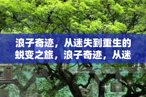 从迷失到重生的蜕变之旅图片