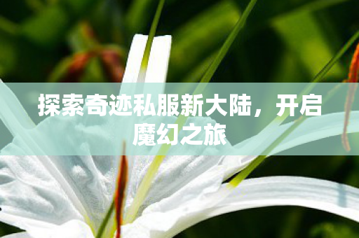 探索奇迹私服新大陆图片