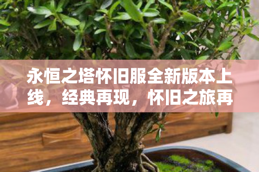永恒之塔怀旧服全新版本上线图片